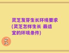 灵芝发芽生长环境要求(灵芝怎样生长 最适宜的环境条件)