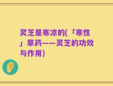 灵芝是寒凉的(「寒性」草药——灵芝的功效与作用)