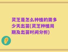灵芝是怎么种植的需多少天出苗(灵芝种植周期及出苗时间分析)