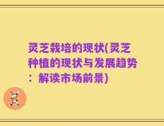 灵芝栽培的现状(灵芝种植的现状与发展趋势：解读市场前景)