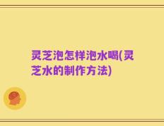 灵芝泡怎样泡水喝(灵芝水的制作方法)