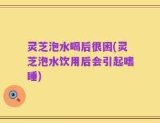 灵芝泡水喝后很困(灵芝泡水饮用后会引起嗜睡)