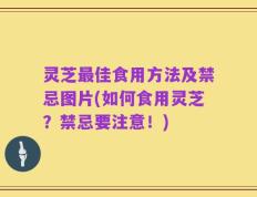 灵芝最佳食用方法及禁忌图片(如何食用灵芝？禁忌要注意！)