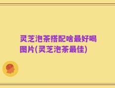 灵芝泡茶搭配啥最好喝图片(灵芝泡茶最佳)