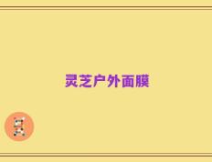 灵芝户外面膜