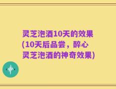 灵芝泡酒10天的效果(10天后品尝，醉心灵芝泡酒的神奇效果)