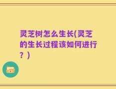 灵芝树怎么生长(灵芝的生长过程该如何进行？)
