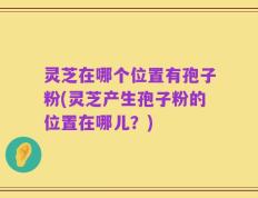 灵芝在哪个位置有孢子粉(灵芝产生孢子粉的位置在哪儿？)