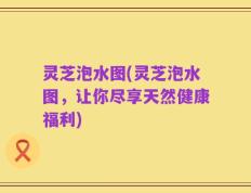 灵芝泡水图(灵芝泡水图，让你尽享天然健康福利)
