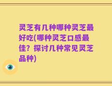 灵芝有几种哪种灵芝最好吃(哪种灵芝口感最佳？探讨几种常见灵芝品种)