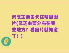 灵芝主要生长在哪里图片(灵芝主要分布在哪些地方？看图片就知道了！)