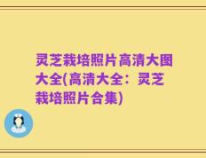 灵芝栽培照片高清大图大全(高清大全：灵芝栽培照片合集)
