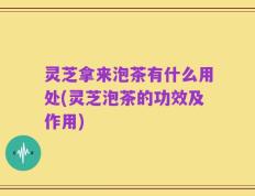 灵芝拿来泡茶有什么用处(灵芝泡茶的功效及作用)