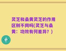 灵芝和桑黄灵芝的作用区别不同吗(灵芝与桑黄：功效有何差异？)