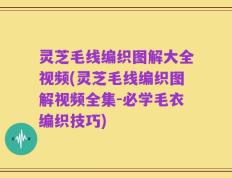 灵芝毛线编织图解大全视频(灵芝毛线编织图解视频全集-必学毛衣编织技巧)