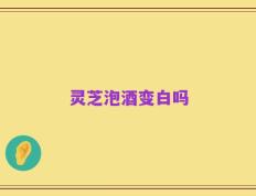 灵芝泡酒变白吗