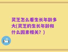 灵芝怎么看生长年龄多大(灵芝的生长年龄和什么因素相关？)
