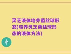 灵芝液体培养菌丝球形态(培养灵芝菌丝球形态的液体方法)