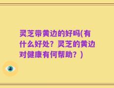 灵芝带黄边的好吗(有什么好处？灵芝的黄边对健康有何帮助？)