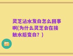 灵芝沾水发白怎么回事啊(为什么灵芝会在接触水后变白？)