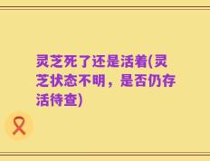灵芝死了还是活着(灵芝状态不明，是否仍存活待查)
