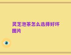灵芝泡茶怎么选择好坏图片