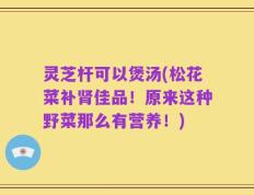 灵芝杆可以煲汤(松花菜补肾佳品！原来这种野菜那么有营养！)