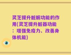 灵芝提升脏腑功能的作用(灵芝提升脏器功能：增强免疫力、改善身体机能)
