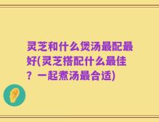 灵芝和什么煲汤最配最好(灵芝搭配什么最佳？一起煮汤最合适)