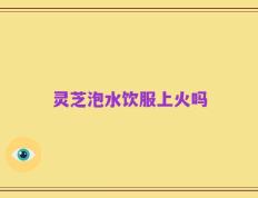 灵芝泡水饮服上火吗