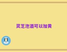 灵芝泡酒可以加黄