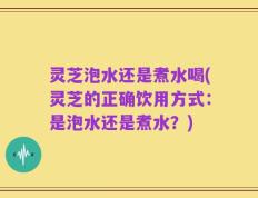 灵芝泡水还是煮水喝(灵芝的正确饮用方式：是泡水还是煮水？)