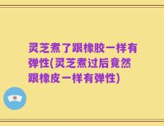 灵芝煮了跟橡胶一样有弹性(灵芝煮过后竟然跟橡皮一样有弹性)