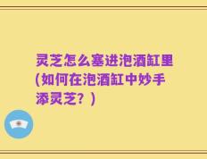 灵芝怎么塞进泡酒缸里(如何在泡酒缸中妙手添灵芝？)