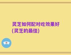 灵芝如何配对吃效果好(灵芝的最佳)