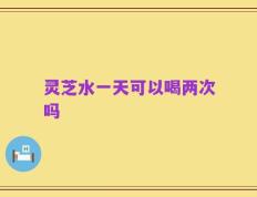 灵芝水一天可以喝两次吗