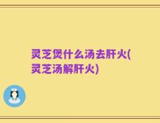 灵芝煲什么汤去肝火(灵芝汤解肝火)