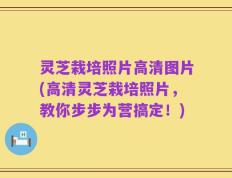 灵芝栽培照片高清图片(高清灵芝栽培照片，教你步步为营搞定！)