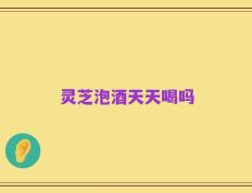 灵芝泡酒天天喝吗