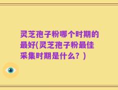 灵芝孢子粉哪个时期的最好(灵芝孢子粉最佳采集时期是什么？)