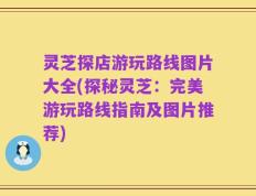 灵芝探店游玩路线图片大全(探秘灵芝：完美游玩路线指南及图片推荐)