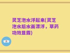 灵芝泡水浮起来(灵芝泡水后水面漂浮，草药功效显露)