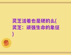 灵芝活着也是硬的么(灵芝：顽强生命的象征)