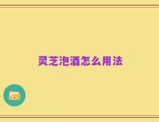 灵芝泡酒怎么用法