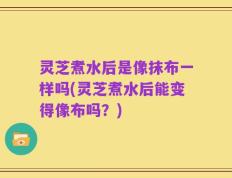 灵芝煮水后是像抹布一样吗(灵芝煮水后能变得像布吗？)