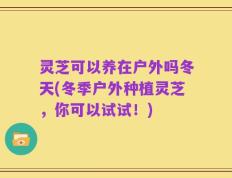 灵芝可以养在户外吗冬天(冬季户外种植灵芝，你可以试试！)