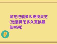 灵芝泡酒多久更换灵芝(泡酒灵芝多久更换最佳时间)