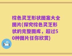 棕色灵芝形状图案大全图片(探究棕色灵芝形状的完整图库，超过50种图片任你欣赏)