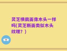 灵芝横截面像木头一样吗(灵芝断面类似木头纹理？)