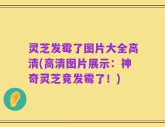 灵芝发霉了图片大全高清(高清图片展示：神奇灵芝竟发霉了！)